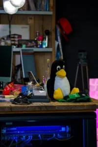 Mengenal Linux Server Optimization untuk  Website Modern